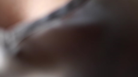 pussy__money__weed  13-02-2022
